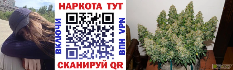 Купить КОКАИН Псилоцибиновые грибы Каннабис Мефедрон Кашин